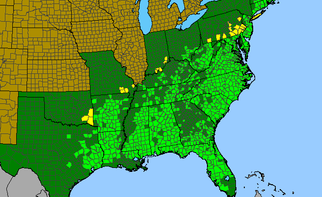 The range of Eupatorium rotundifolium